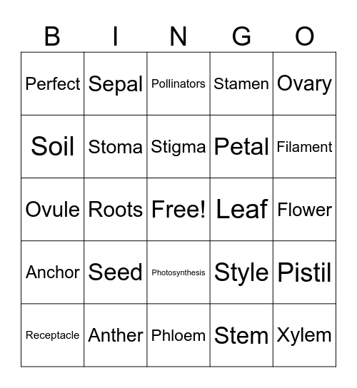 Parts of the Plant Bingo Card