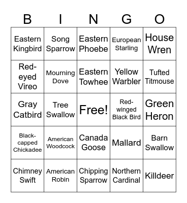 Bird Bingo Card