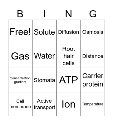 Unit 3 Vocab Bingo Card