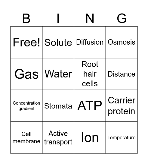 Unit 3 Vocab Bingo Card