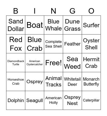 Sandy Hook Bingo! Bingo Card
