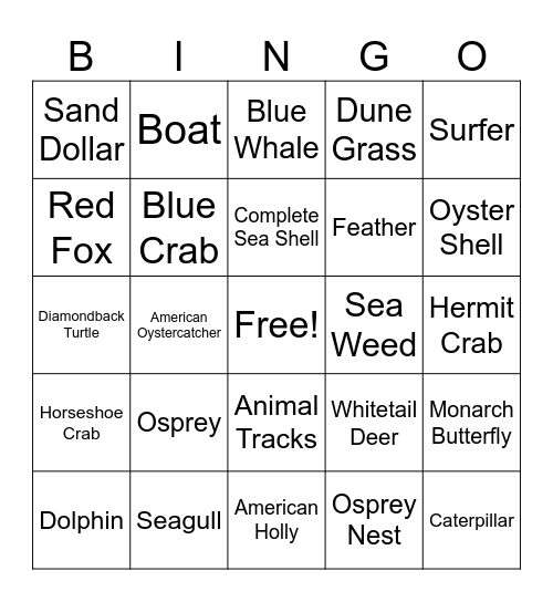 Sandy Hook Bingo! Bingo Card