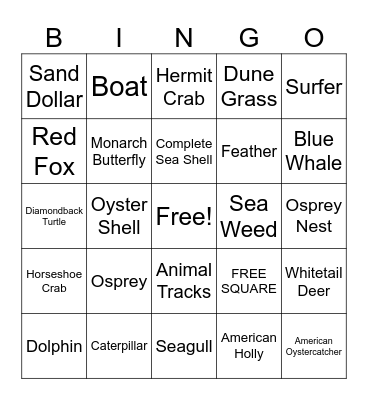 Sandy Hook Bingo! Bingo Card