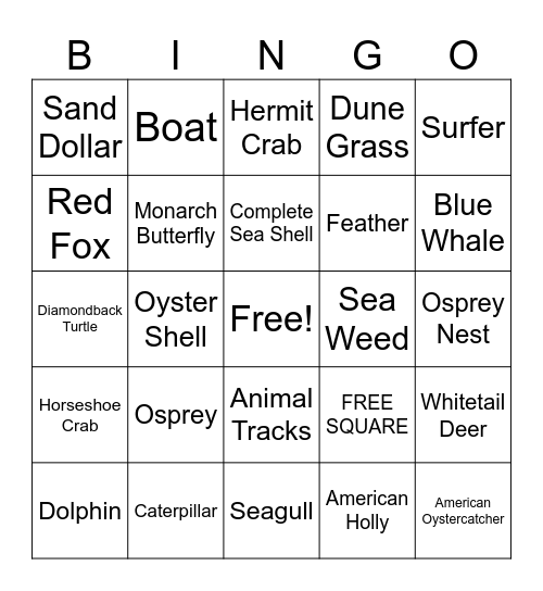 Sandy Hook Bingo! Bingo Card