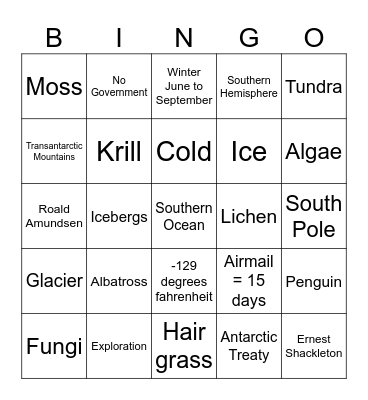Antarctica Bingo Card