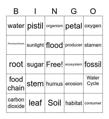 plants and ecosystem Bingo Card