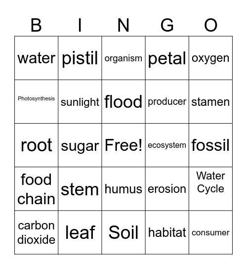 plants and ecosystem Bingo Card