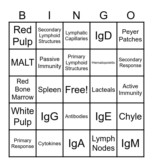 Chapter 21 & 22 Lymphatic and Immune Bingo Card