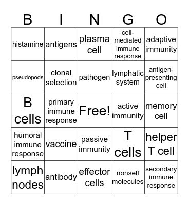 The Immune System Bingo Card