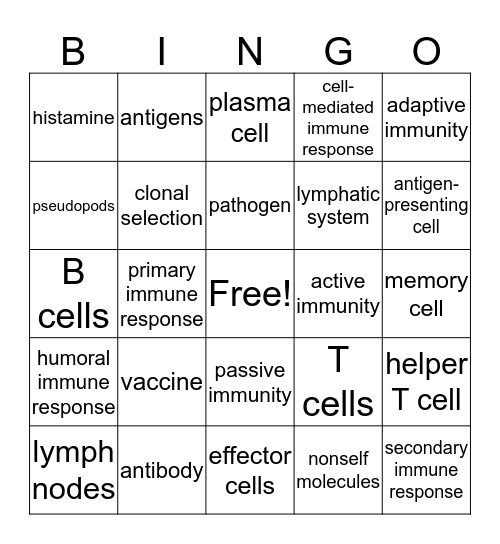 The Immune System Bingo Card