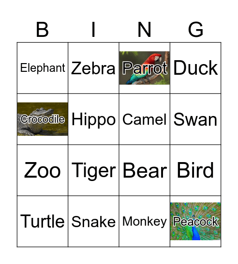 Zoo Animals Bingo Card