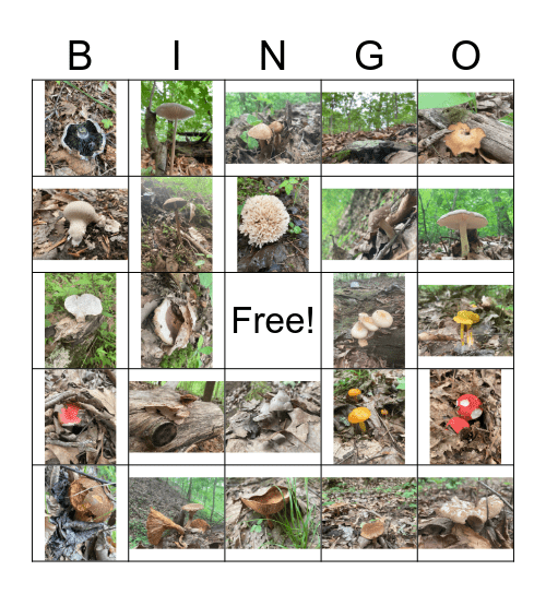 Mushroom Bingo Card