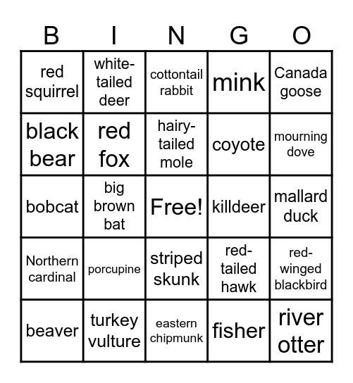 PA Birds & Mammals Bingo Card