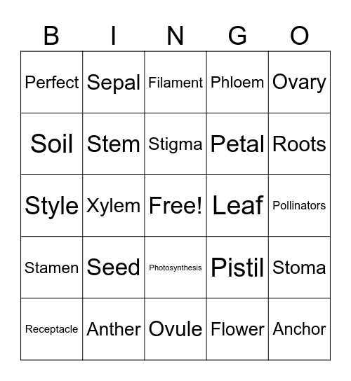 Parts of the Plant Bingo Card