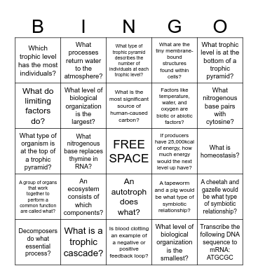 Biology Final Review Bingo Card