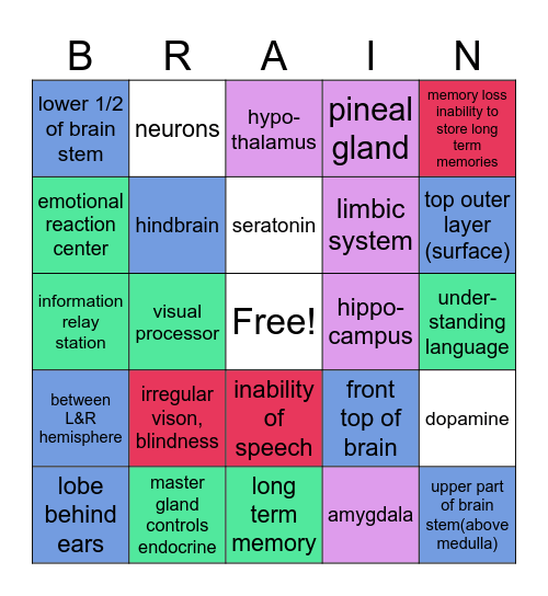 Brain Bingo Card