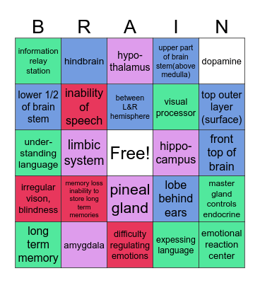 Brain Bingo Card