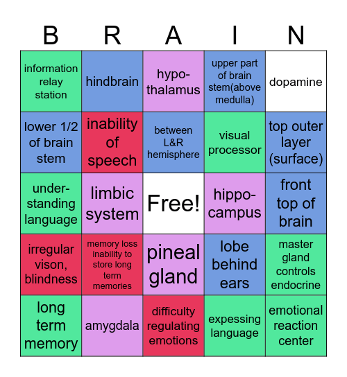 Brain Bingo Card