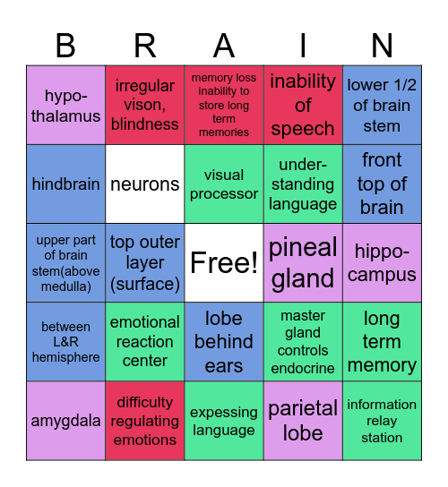 Brain Bingo Card