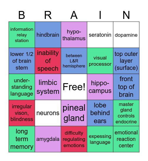 Brain Bingo Card