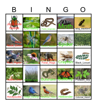 Martha Lafite Thompson Nature Sanctuary Bingo Card