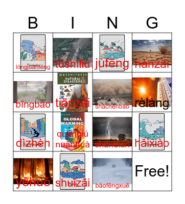 Natural Disaster-天灾tiān zāi Bingo Card
