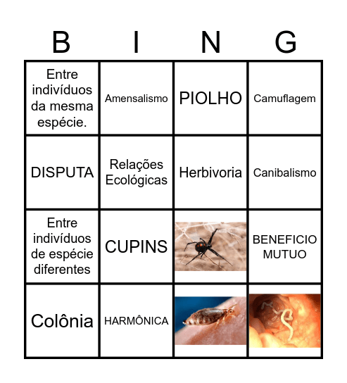 Relações Ecológicas Bingo Card