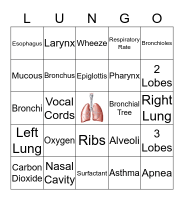 RESPIRATORY SYSTEM Bingo Card