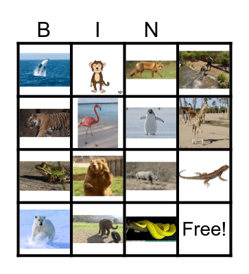 WILD ANIMALS Bingo Card