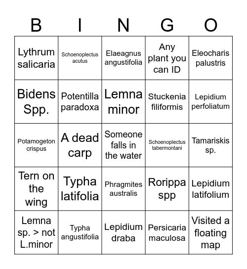 Provo Bay Bingo Card