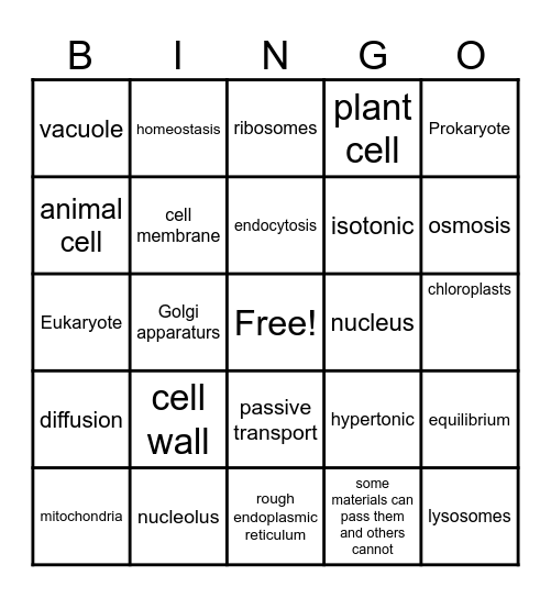 Cells and Cell Functions Bingo Card