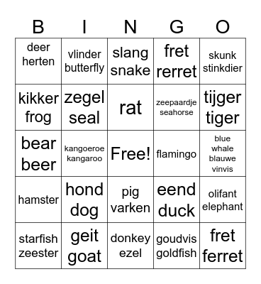 Animals in dutch Bingo Card