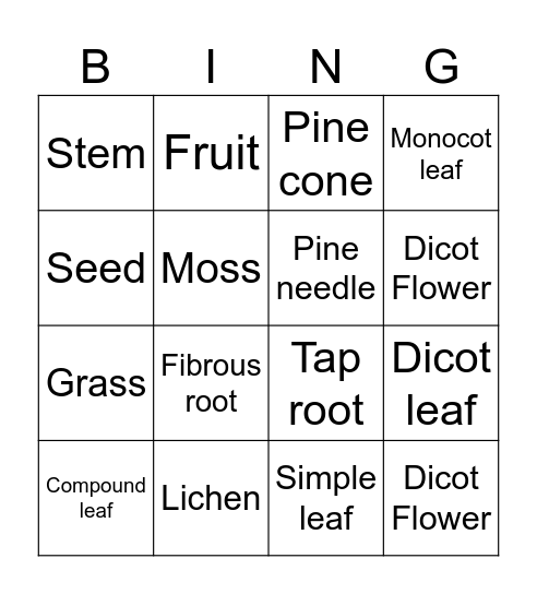 Botany Bingo GHA 2024 Bingo Card