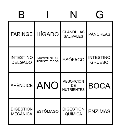 BINGO DIGESTIVO Bingo Card