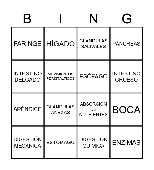 BINGO DIGESTIVO Bingo Card