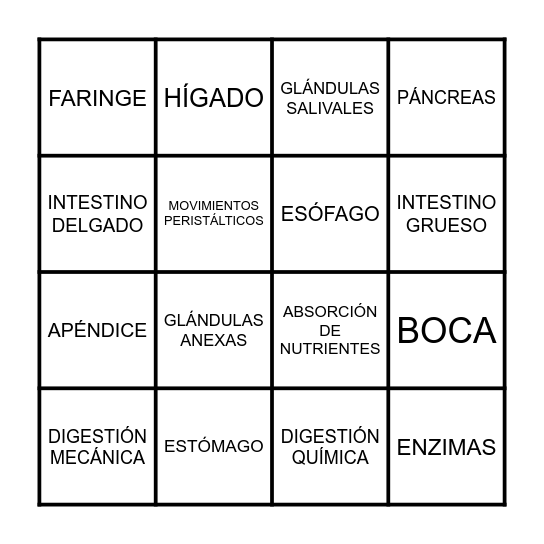 BINGO DIGESTIVO Bingo Card