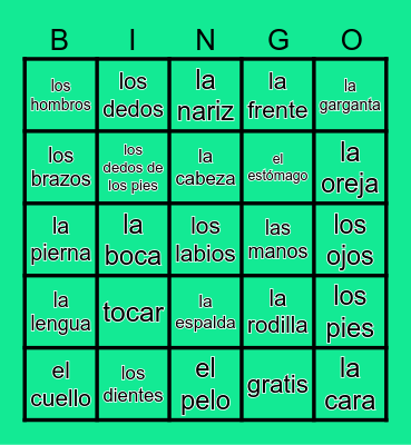 EL CUERPO Bingo Card