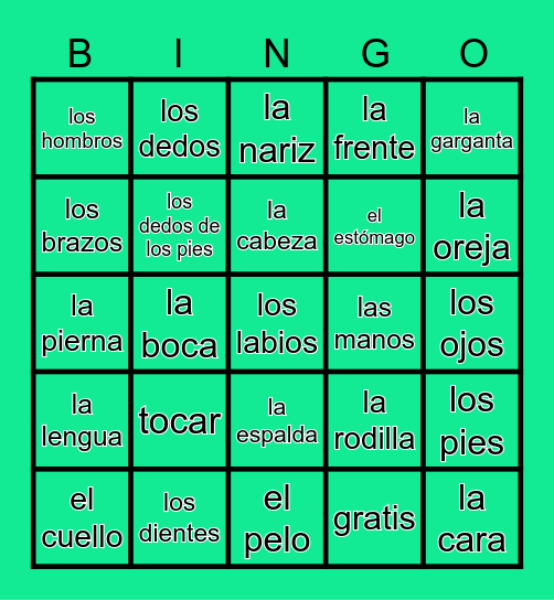 EL CUERPO Bingo Card