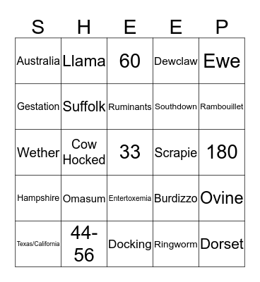 Abbie Sheep Bingo!!! Bingo Card