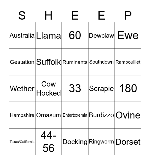 Abbie Sheep Bingo!!! Bingo Card