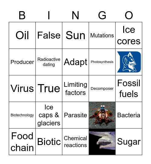 Food Chains/Webs & Infectious Diseases Bingo Card