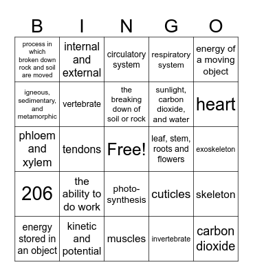 Grade 4 Science Final Bingo Card