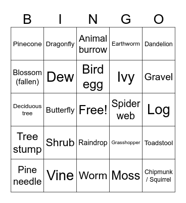 Nature Walk Bingo Card