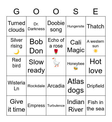 2024 summer tour Bingo Card