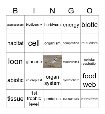 Biology Review Bingo Card