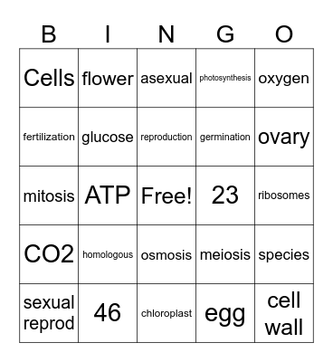 Living Environment Review Bingo Card
