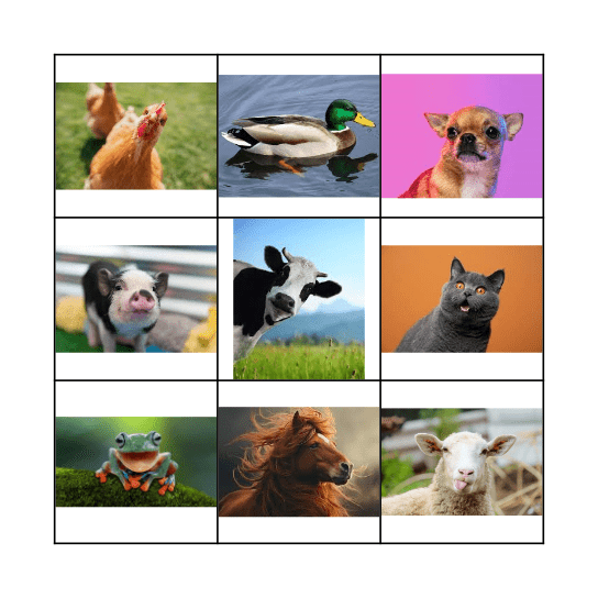 Common Animal Sounds Bingo Card