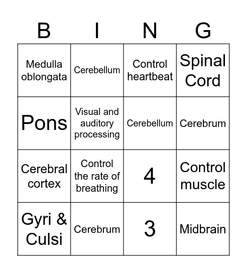 Control Center of the Nervous System Bingo Card