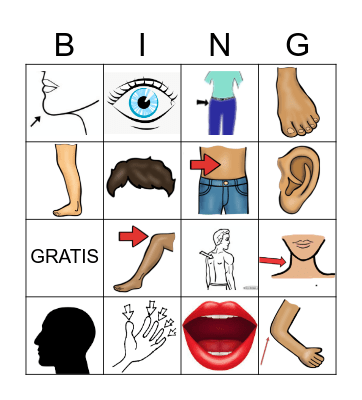 El CUERPO Bingo Card