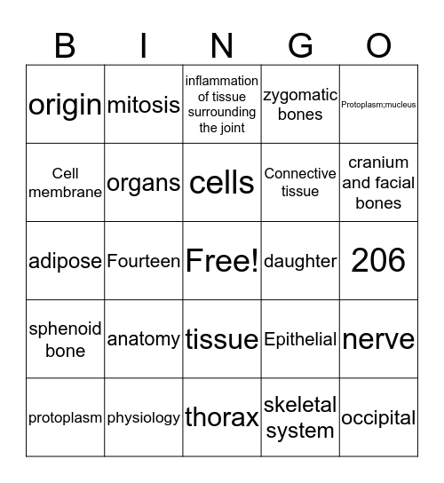 Ch. 6  General Anatomy & Physiology Bingo Card